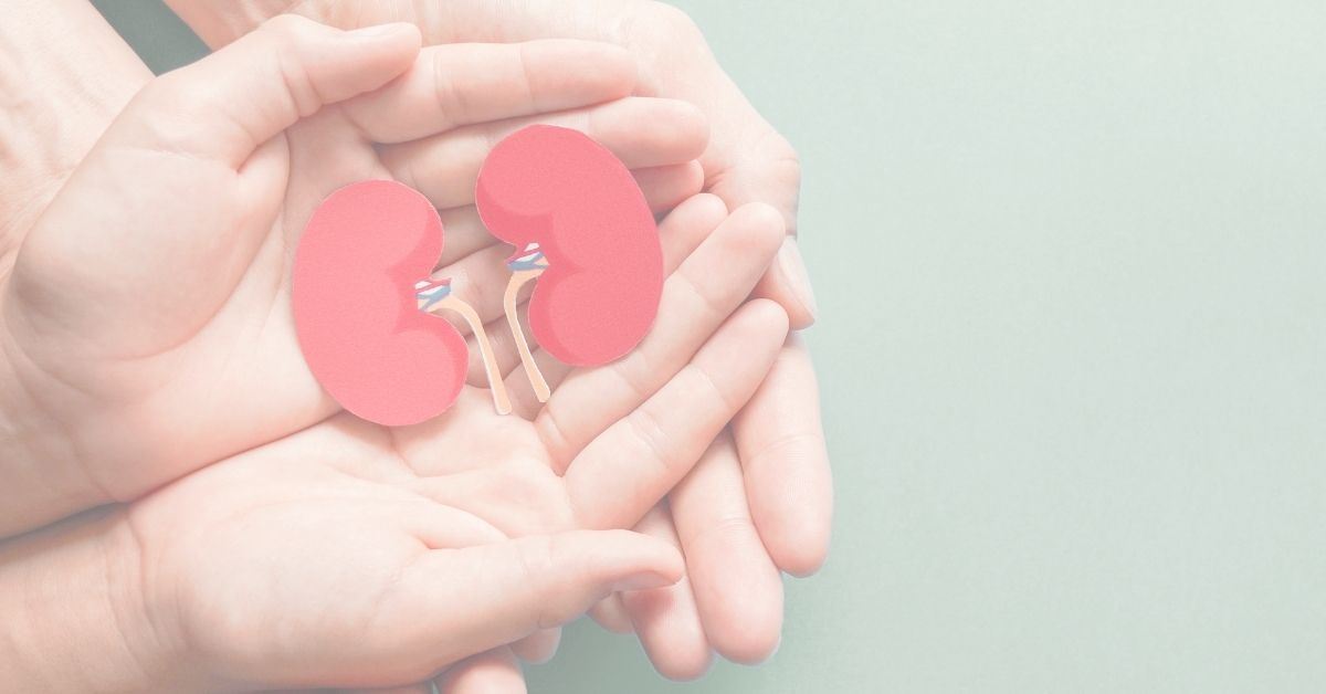 Keeping Your Kidneys Healthy Photo